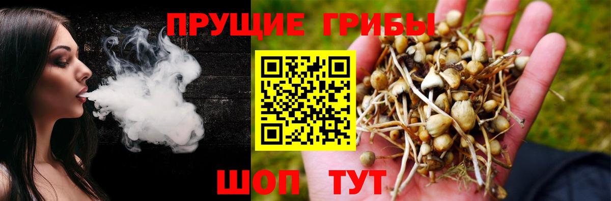 Галлюциногенные грибы Psilocybe  Вход с VPN  Улан-Удэ  Галлюциногенные грибы Magic Shrooms 