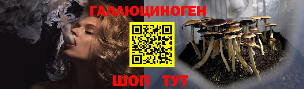 Галлюциногенные грибы мухоморы Улан-Удэ